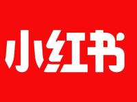 为什么有些企业会去做小红书营销推广？