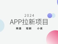 2024年app拉新一手项目有哪些？免费推广网赚拉新项目推荐！